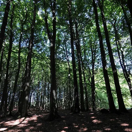 Nr 8 Im Gutshaus Zicker Auf Ruegen * Garz (Rugen)